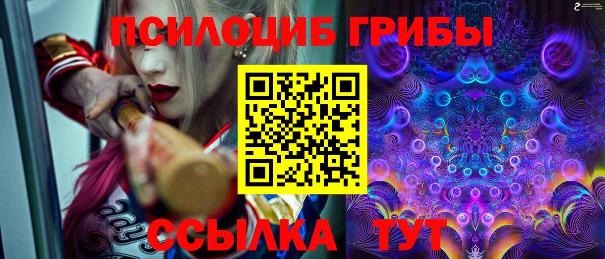 Сланцы  Галлюциногенные грибы GOLDEN TEACHER  Вход с VPN 